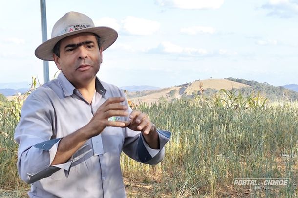 O pesquisador da Emater, Marcelo Rodrigue Martins, ressaltou aspectos importantes sobre a colheita do trigo