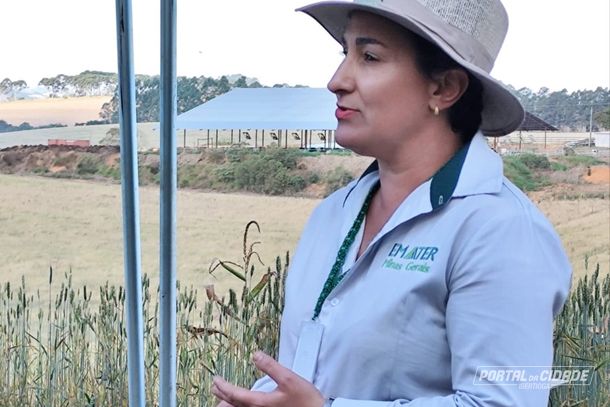 A extensionista da Emater, Maria Fernanda Rodrigues Miranda Aquino, ressalta tamb&eacute;m as vatagens do trigo para a preserva&ccedil;&atilde;o ambiental