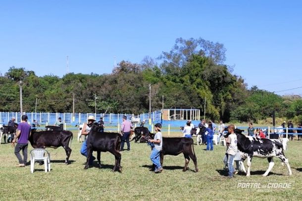 Desfile dos animais