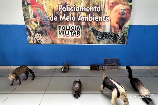 Stand da Pol&iacute;cia Ambiental, com animais empalhados