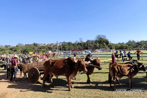 Carros de boi desfilam no Parque de Exposi&ccedil;&otilde;es