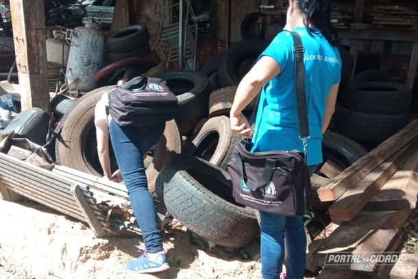 A limpeza nos quintais continua sendo a principal arma contra o mosquito 