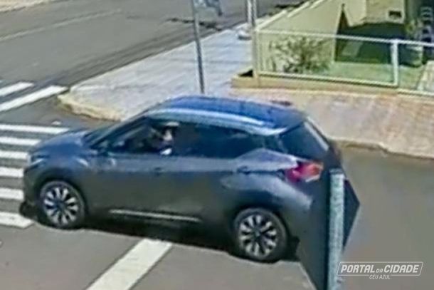Ve&iacute;culo que atropelou o animal em via p&uacute;blica 