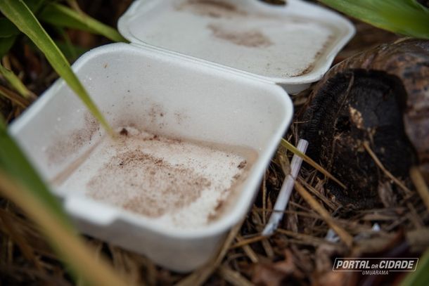 Para evitar a prolifera&ccedil;&atilde;o do mosquito da dengue, &eacute; fundamental eliminar a &aacute;gua parada de recipientes