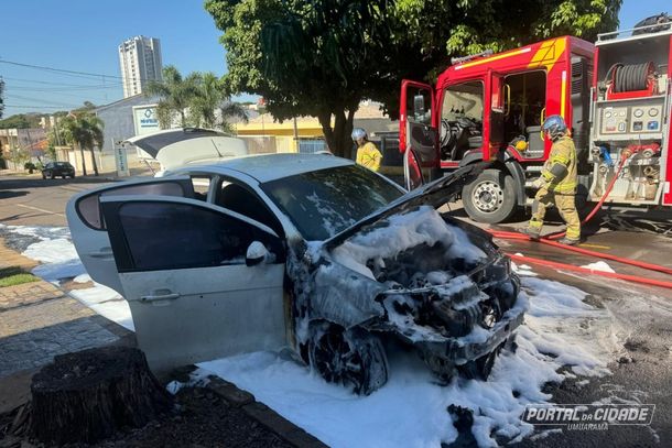 Apesar dos esforços dos bombeiros, não foi possível evitar que as chamas destruíssem o carro