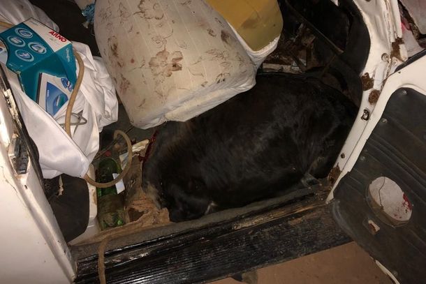 Autor foi apreendido na zona rural de Caldas