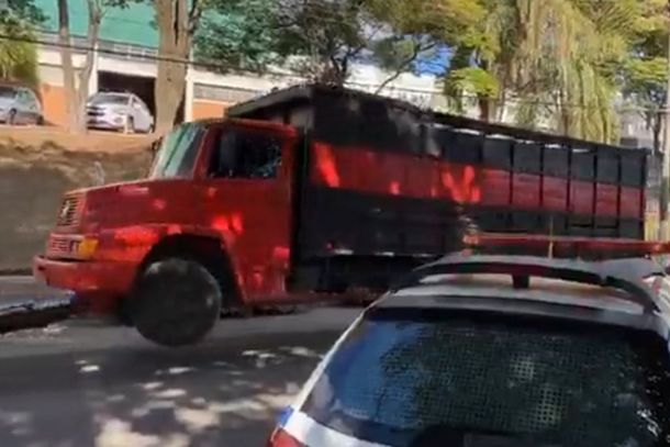 Animais haviam sido furtados em Barbacena