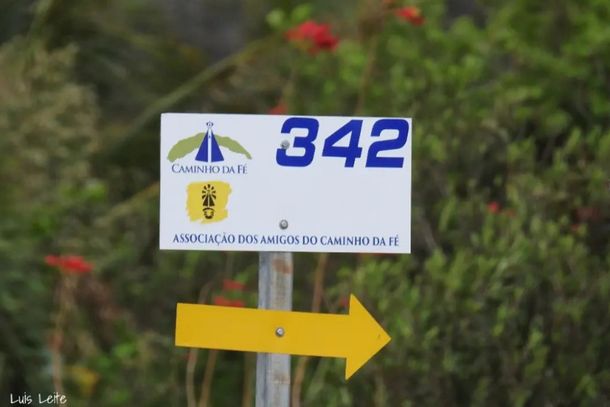 Campanha quer evitar adesivos, rabiscos, escritas e picha&ccedil;&atilde;o nas placas