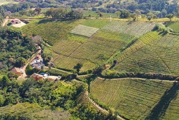 Stella Valentino foi destacada pela consultora de vinhos Raquel Junqueira