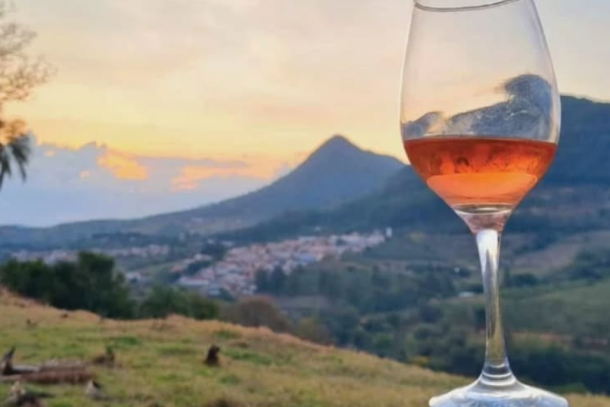Brasil aparece na 15&ordf; posi&ccedil;&atilde;o do consumo total da bebida