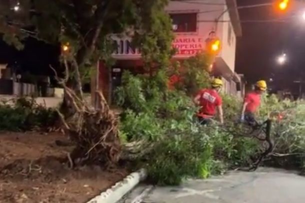 Árvore cai sobre moto em praça na saída para Poços