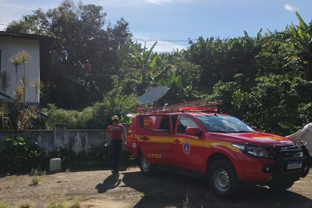 Árvore cai sobre residência em Andradas
