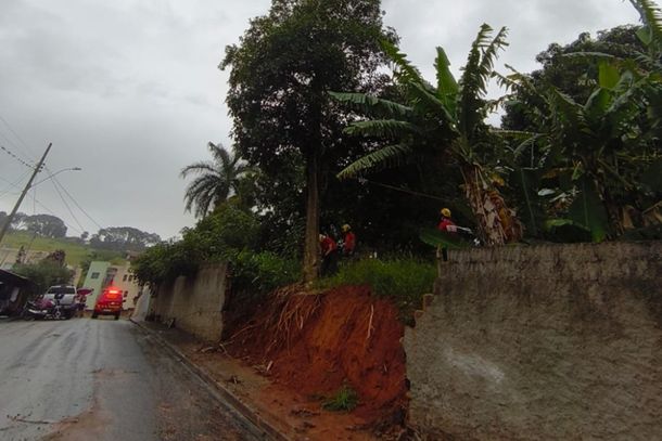 Corpo de Bombeiros remove árvore com risco de queda em Andradas