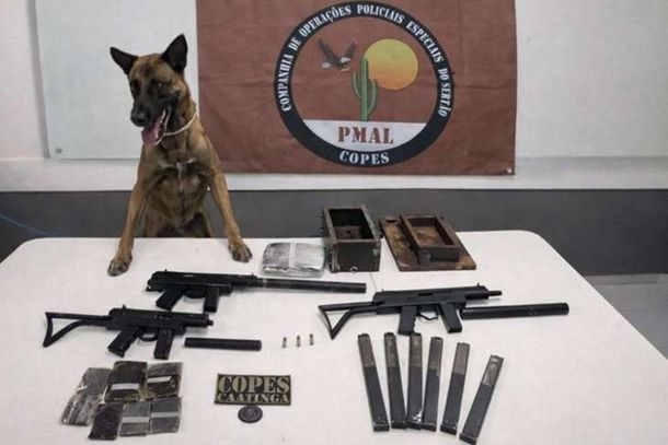 Armas e drogas são apreendidas em ônibus que saiu de Andradas