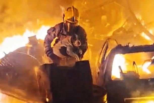 Cadela é resgatada durante incêndio em depósito às margens da BR-459