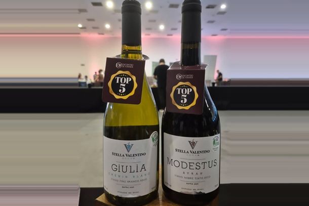 Vinícola de Andradas tem rótulos entre os destaques em evento de vinhos em Campinas