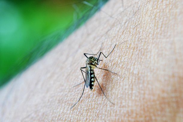 Andradas está entre cidades com maior índice de dengue no Sul de Minas