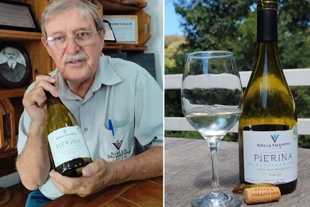 Vinícola de Andradas lança vinho especial em edição limitada