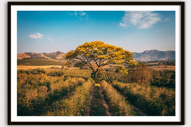 Andradas integra exposição fotográfica que destaca riquezas culturais de Minas Gerais