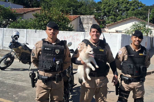  Militares seguiram o c&atilde;o, que foi capturado com seguran&ccedil;a