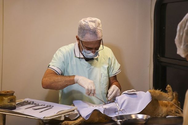 Tutores devem fazer cadastro antecipado para garantir uma vaga