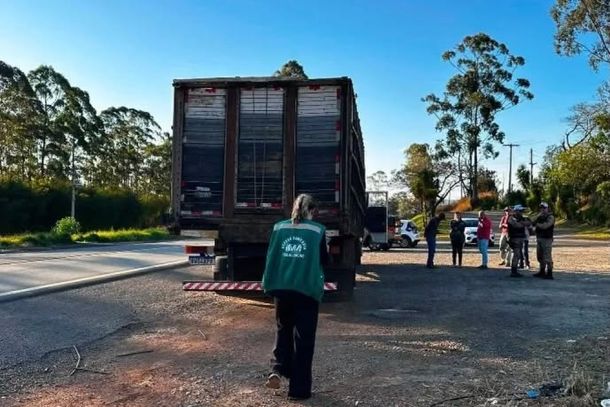 Caso ocorreu entre Po&ccedil;os de Caldas e Andradas