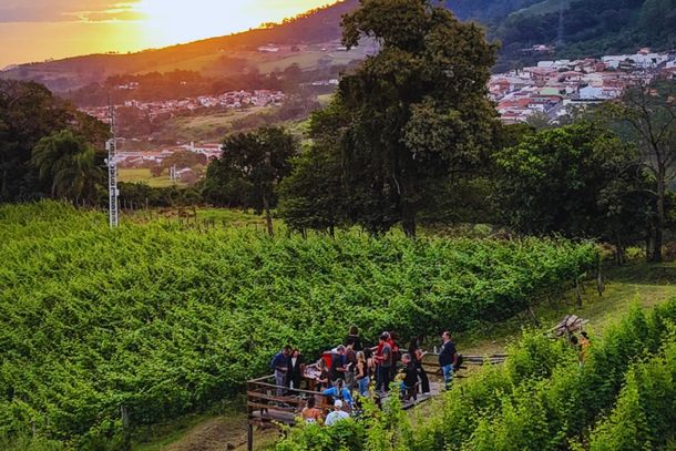 Cidade tem 11 concorrentes buscando o t&iacute;tulo em 5 categorias