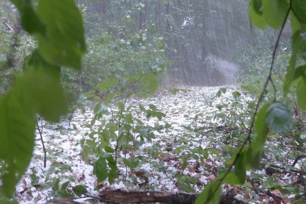 Alerta de granizo vale para esta sexta e s&aacute;bado