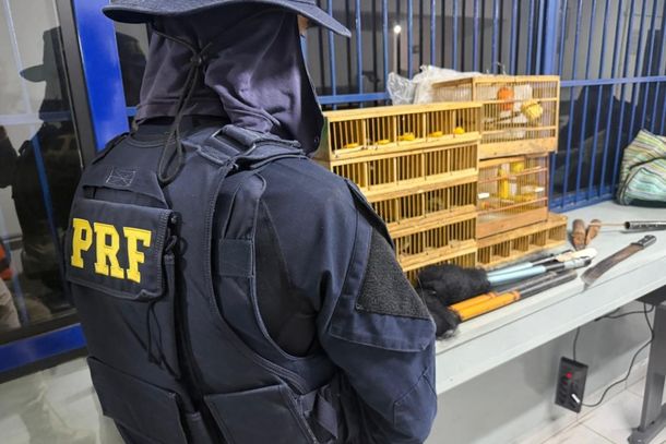 Caso foi registrado em Po&ccedil;os de Caldas