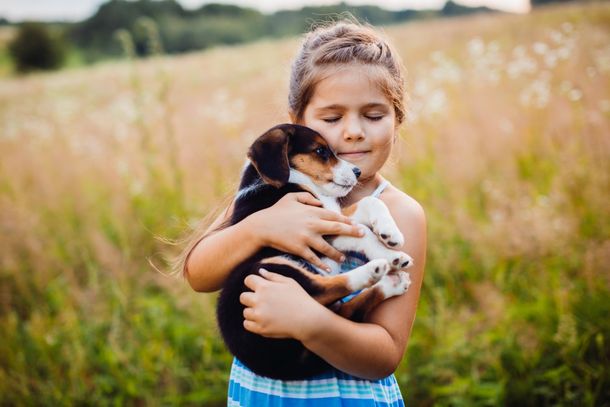 Iniciativa busca estimular a ado&ccedil;&atilde;o de animais e ampliar a conscientiza&ccedil;&atilde;o sobre cuidados com pets.