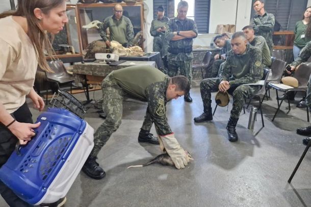 Curso reuniu policiais de diversas regi&otilde;es do Estado no Zool&oacute;gico Municipal