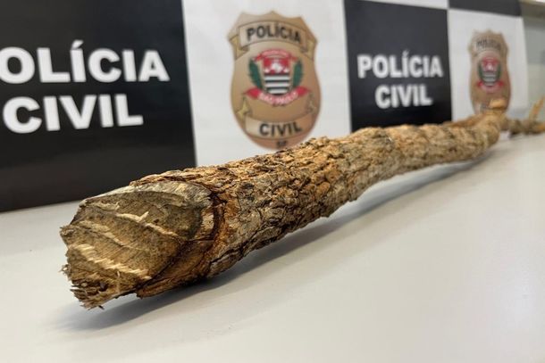 Pol&iacute;cia Civil de Agudos prende autor de homic&iacute;dio