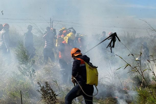 O kit tem 41 equipamentos, entre eles enxada, abafador, bon&eacute;, &oacute;culos de prote&ccedil;&atilde;o, lanterna, cantil e luva, e &eacute; entregue diretamente aos munic&iacute;pios ou produtores rurais, ap&oacute;s treinamento com a Defesa Civil 