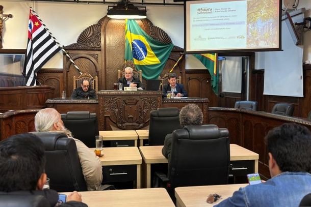 Mais do que falta de &aacute;rvores, diagn&oacute;stico aponta m&aacute; distribui&ccedil;&atilde;o e baixa qualidade dos esp&eacute;cimes em Bauru