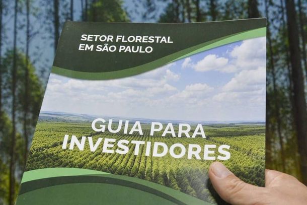 O material evidencia que S&atilde;o Paulo re&uacute;ne condi&ccedil;&otilde;es &uacute;nicas para o desenvolvimento do setor, combinando alta produtividade florestal.