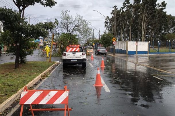 Chuva causa queda de &aacute;rvores e interrup&ccedil;&otilde;es de energia em diferentes pontos de Bauru
