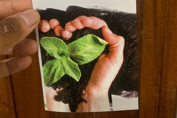 Cartilha para ajudar otimizar a produ&ccedil;&atilde;o ser&aacute; distribu&iacute;da