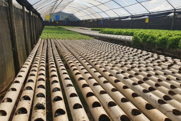 Programa j&aacute; repassou mais de 35 mil itens para produ&ccedil;&atilde;o agropecu&aacute;ria