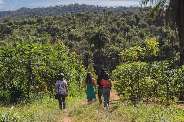 Na fazenda Ser-T&atilde;o, turistas conhecer&atilde;o sistemas de agrofloresta