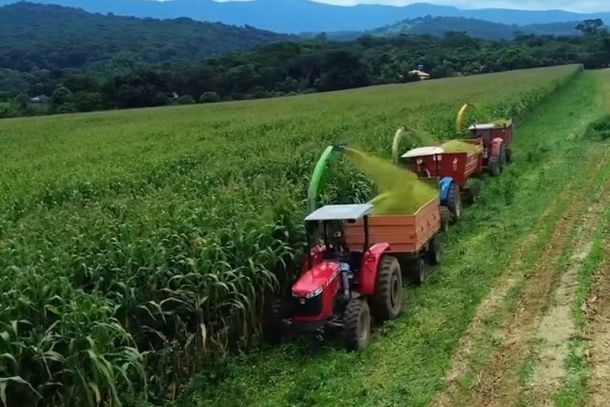 Produ&ccedil;&atilde;o saltou de 240 para mais de 580 sacas