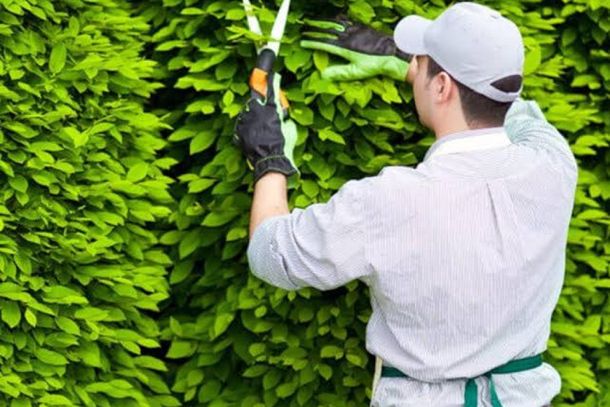 H&aacute; oportunidades para Auxiliar de Jardinagem