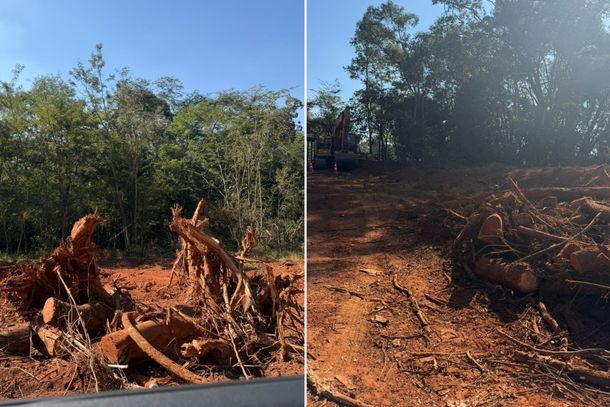 Comunidade pede preserva&ccedil;&atilde;o ambiental