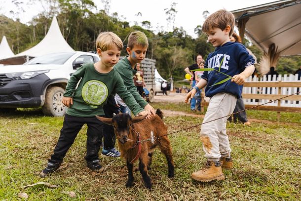 Festival da Crian&ccedil;a ter&aacute; atividades gratuitas durante todo o dia em Guabiruba