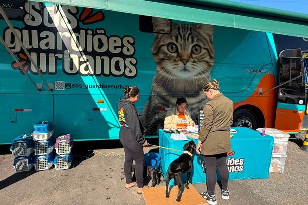 Mutir&atilde;o castra 101 c&atilde;es e gatos gratuitamente em Brusque; veja as pr&oacute;ximas datas