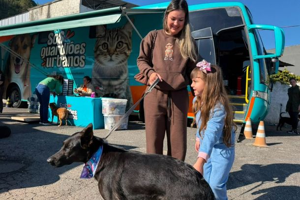 Mutir&atilde;o oferece castra&ccedil;&atilde;o gratuita para c&atilde;es e gatos em Brusque nesta quinta