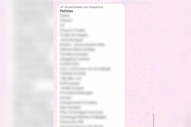 Comerciantes de Brusque reagem a lista de boicote e negam liga&ccedil;&atilde;o com o PT