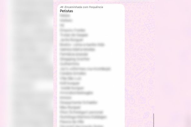 Lista incentiva boicote a empresas de Brusque e Guabiruba apontadas como petistas