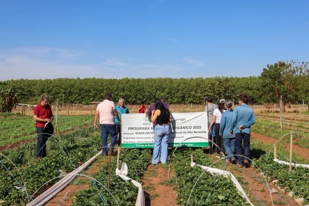  curso, que n&atilde;o teve custo para os agricultores, foi conduzido pelo Engenheiro Agr&ocirc;nomo Marcelo Sambiase.