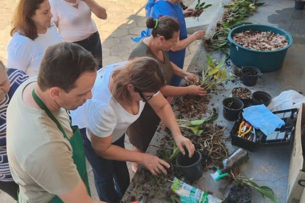O curso te&oacute;rico e pr&aacute;tico abordou todas as etapas necess&aacute;rias para o cultivo bem-sucedido.