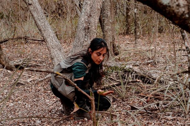 Pesquisadora Let&iacute;cia em trabalho de campo, manuseando sementes (Foto: Divulga&ccedil;&atilde;o/UFMS)